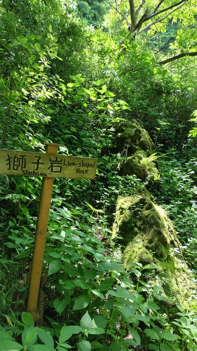 MB28380607's tweet photo. 天園ハイキングコース。建長寺半僧坊から入って天園へ。獅子舞の谷から鎌倉宮に降りた。 https://t.co/C5aPWtAENZ