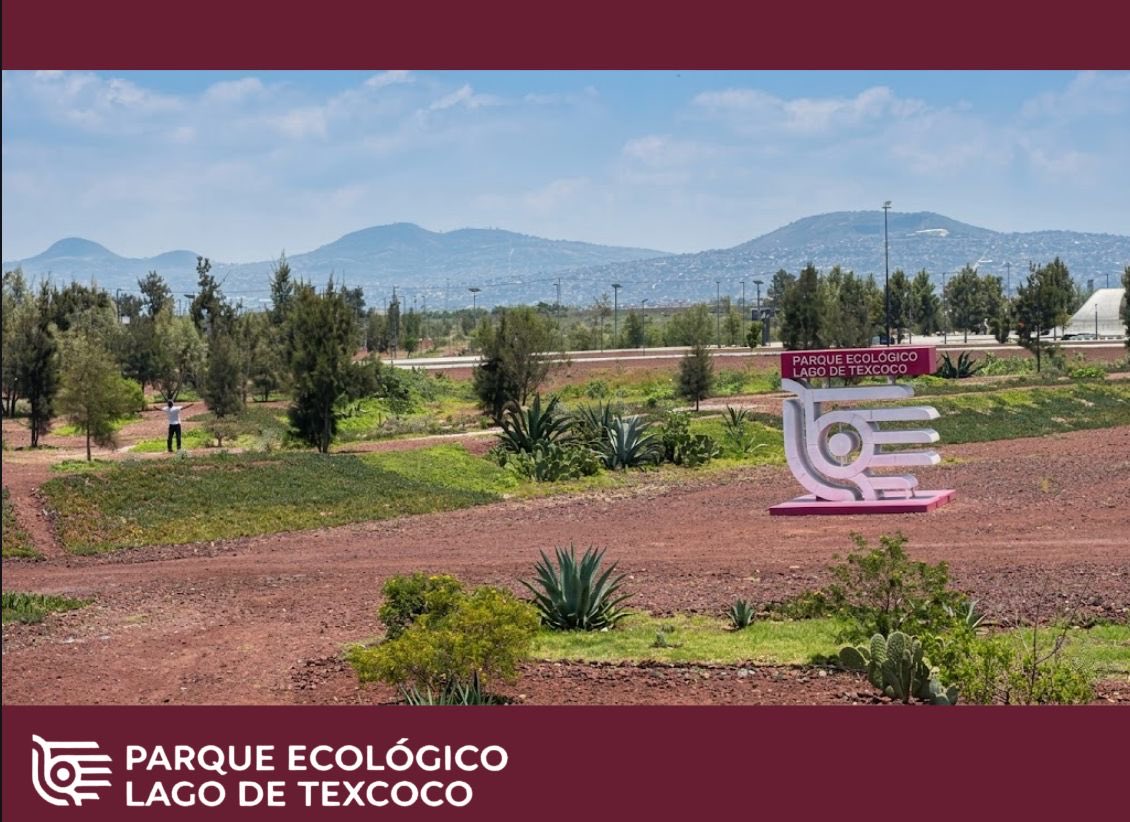 PELTexcoco's tweet photo. 🌿⚡ ¿Necesitas un respiro de la rutina? Ven al PELT y recarga tu energía entre naturaleza, aire libre y paisajes que invitan a desconectarte del estrés y reconectar contigo. 🌱💚
Camina, relájate y disfruta de un espacio pensado para respirar profundo y descansar. Te esperamos https://t.co/XLnJyhkruC