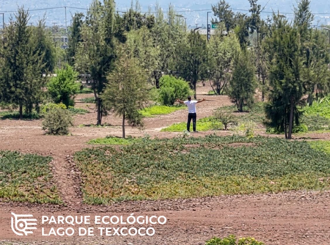 PELTexcoco's tweet photo. 🌿⚡ ¿Necesitas un respiro de la rutina? Ven al PELT y recarga tu energía entre naturaleza, aire libre y paisajes que invitan a desconectarte del estrés y reconectar contigo. 🌱💚
Camina, relájate y disfruta de un espacio pensado para respirar profundo y descansar. Te esperamos https://t.co/XLnJyhkruC