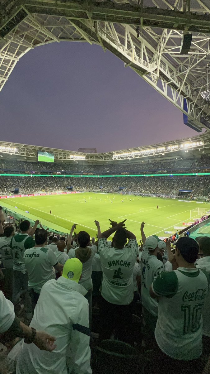 heinemichellao's tweet photo. Domingo de Palmeiras 💚 https://t.co/1RWnVSwv5Q