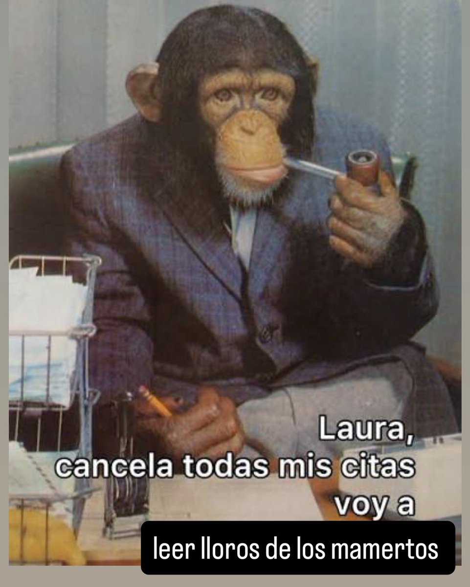 Amphetamina's tweet photo. Estaban seguros de que Cepeda derrotaba en primera a De La Espriella en estas elecciones. 

Deben estar que se arrancan los pelos. https://t.co/ij7FBrQ4zu