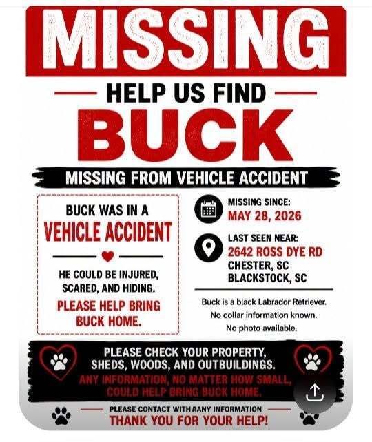 SistersInBiz's tweet photo. Black Labrador Retriever "Buck" ran off aft car accident
May 28, 2026
#Chester #SouthCarolina / #Blackstock #SouthCarolina 
 ➡️ 2642 Ross Dye Road
Male
* Currently no photo available 
Please contact https://t.co/qwk9BmXO99
#SC #ChesterCounty and #FairfieldCounty #Lostdog https://t.co/rxPfWogLsT