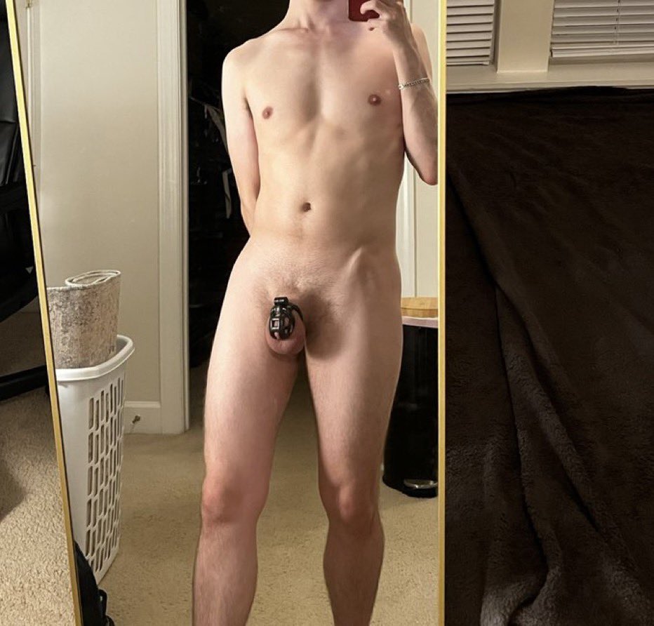 PupDox's tweet photo. Made to be locked 😵‍💫 https://t.co/wROtWXewpr
