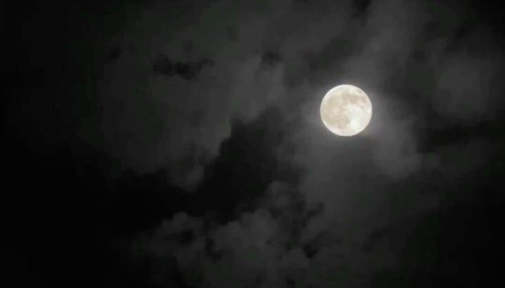 CJQ5_'s tweet photo. #قمر_الليله

كل يوم يكبر فيني شعور ان كل شي بالدنيا ماله أمان ، كل شيء ممكن يتغير فـ ثانيه . ! https://t.co/IHtoyWHaY5