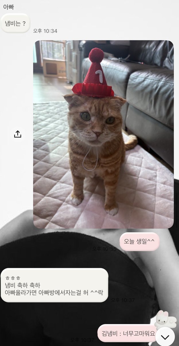 김냄비(비팔알림X) tweet media