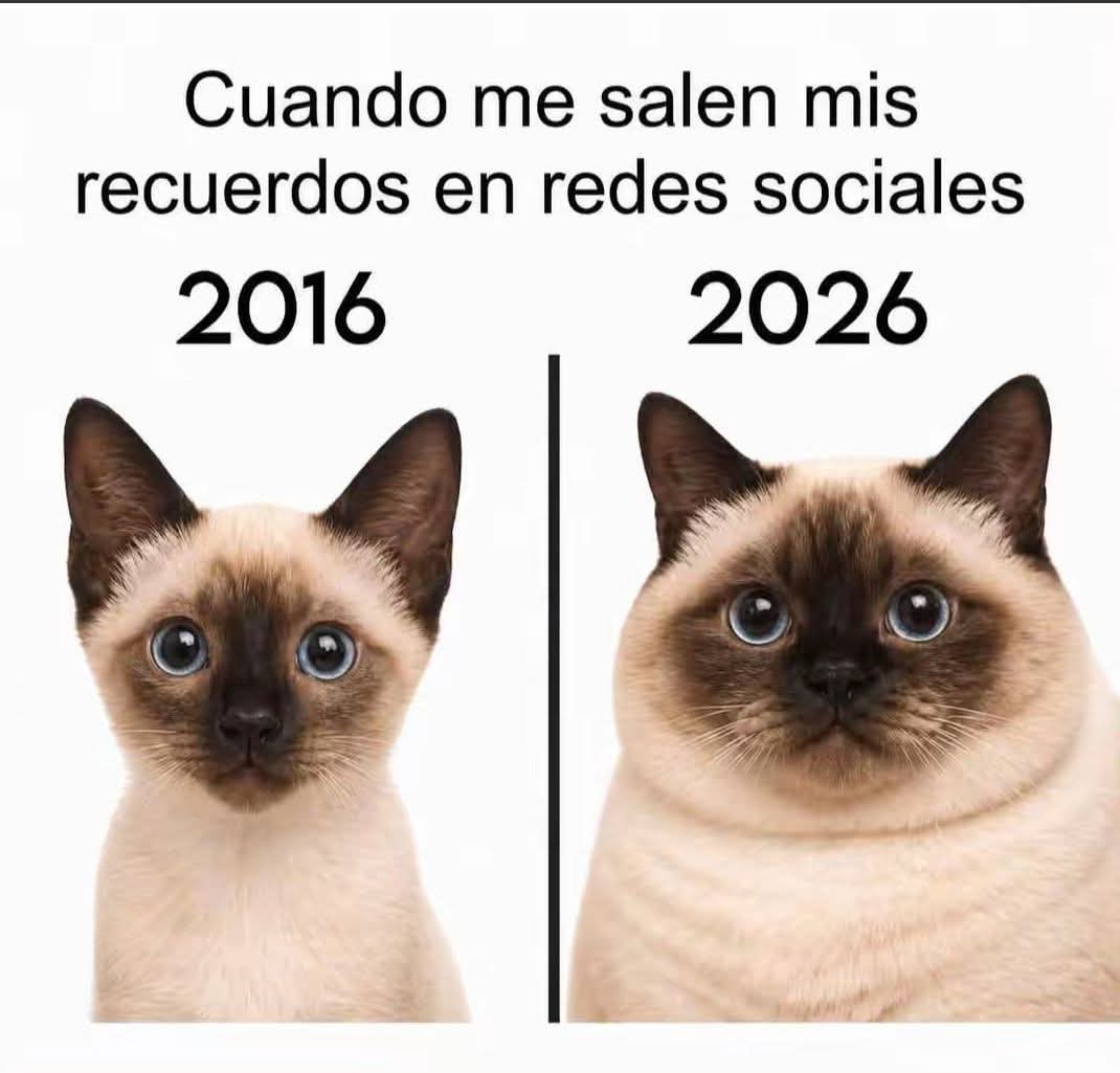 Sabueson tweet media