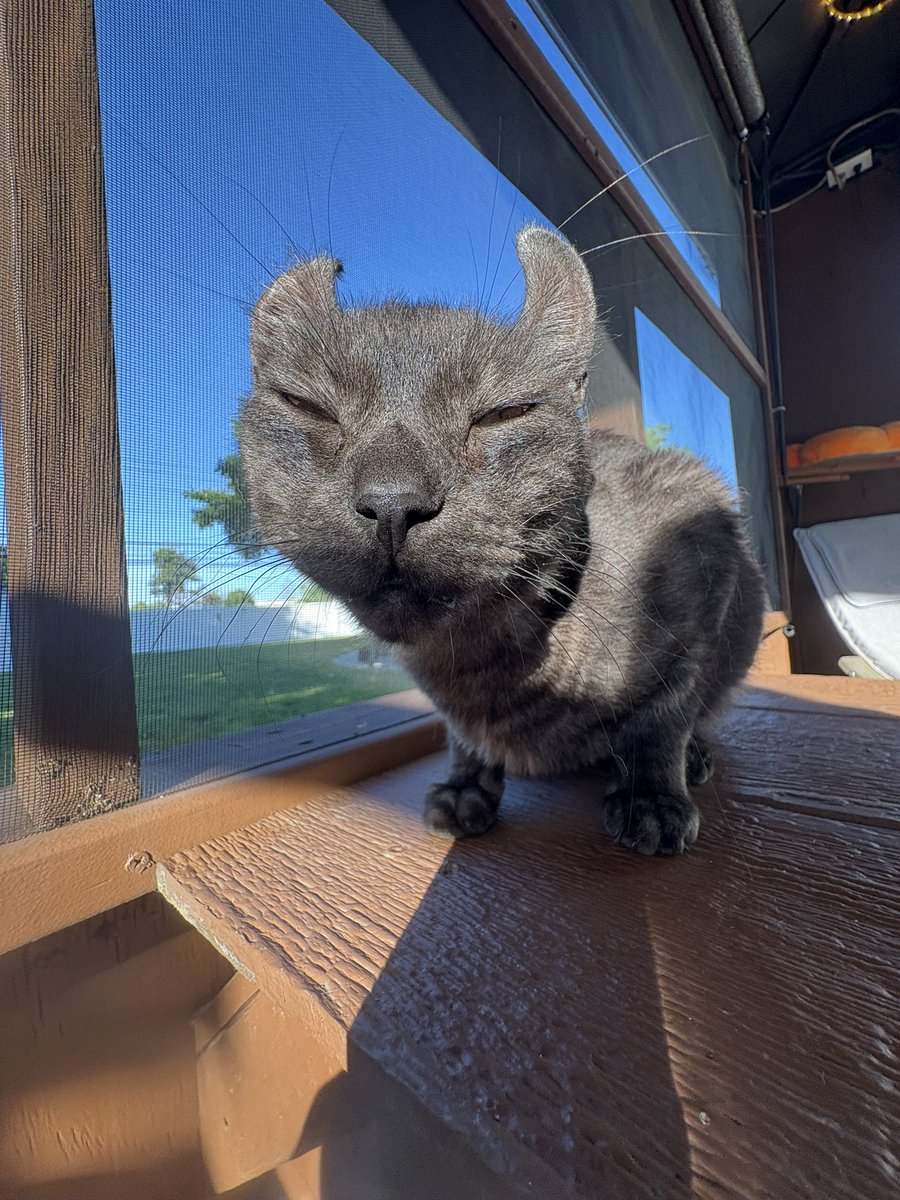 MEEVIN tweet media