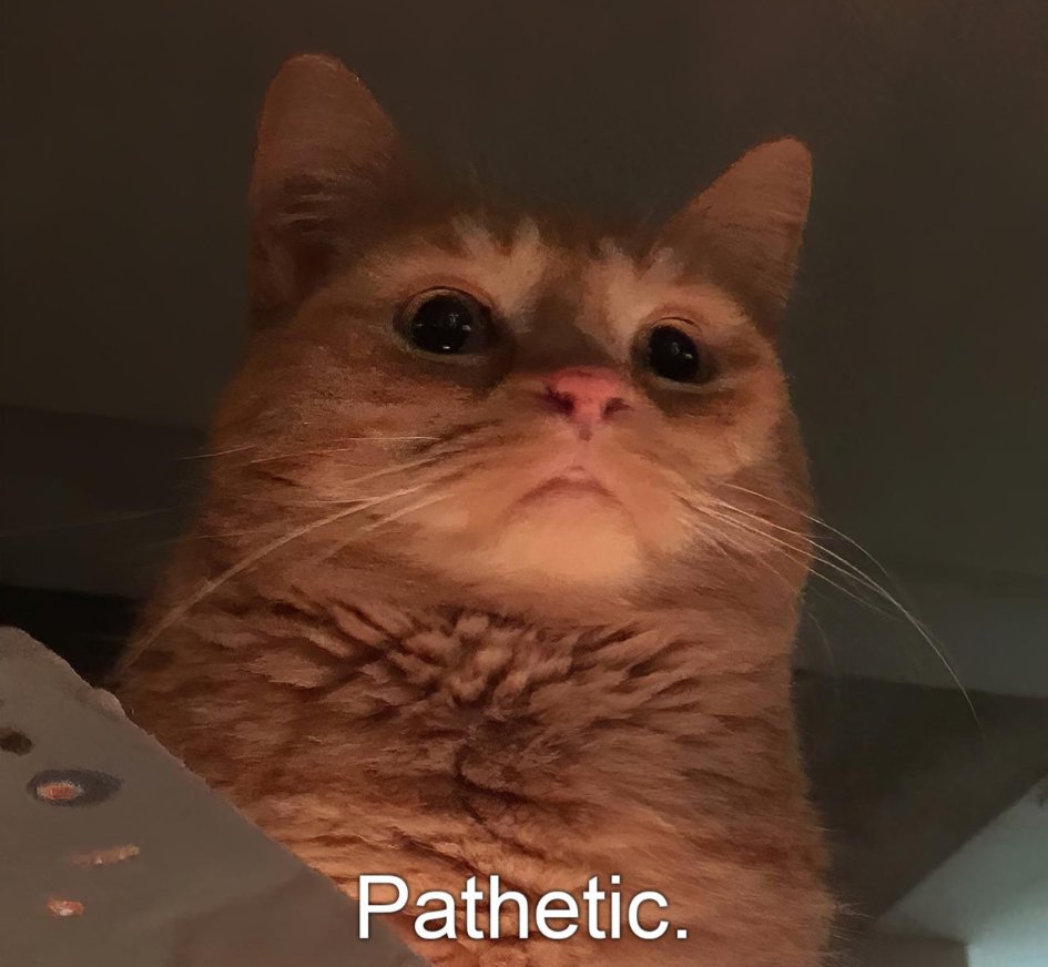 JuggernautAUS's tweet photo. How I look at people "on the Right" when they expect me to tone down NS to make weaker positions more palatable. I'm not fighting for watered down nationalism. https://t.co/FYuaJHDsGe