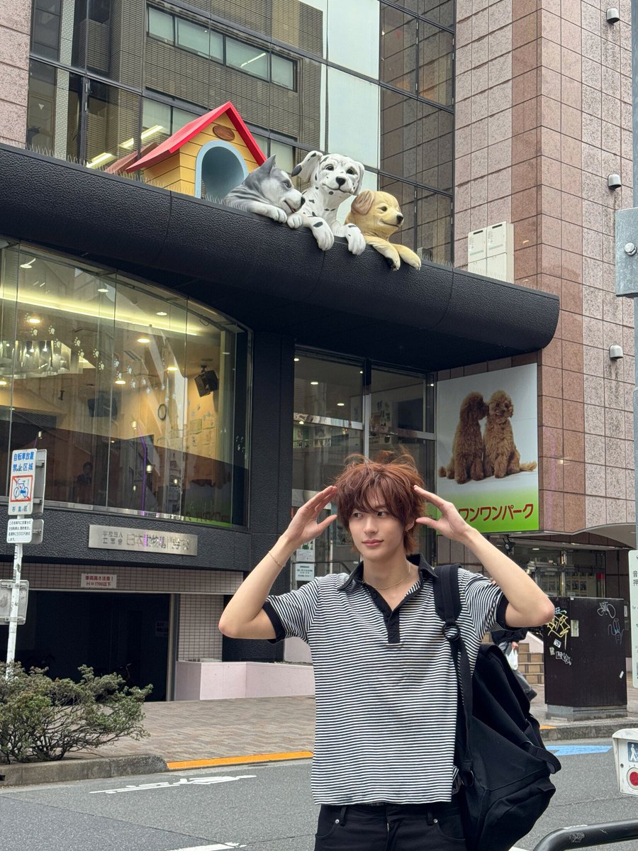 Levi36wang's tweet photo. 今度来る時は教えて https://t.co/eXhlSXZBvA