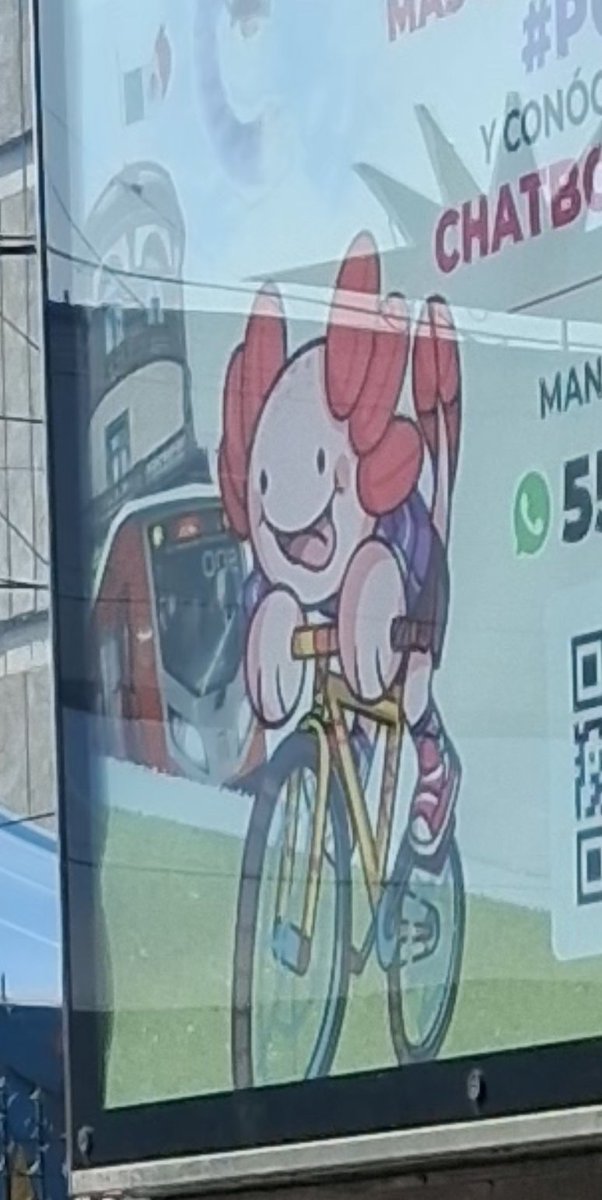 Deive_ar's tweet photo. Esta "ajolotización" de la cdmx es extraña, pero uno encuentra algunas imagenes de mucha risa como este ajolote en bicicleta 😆🤣 
#cdmx #ajolotes https://t.co/WlrKZpEIOI