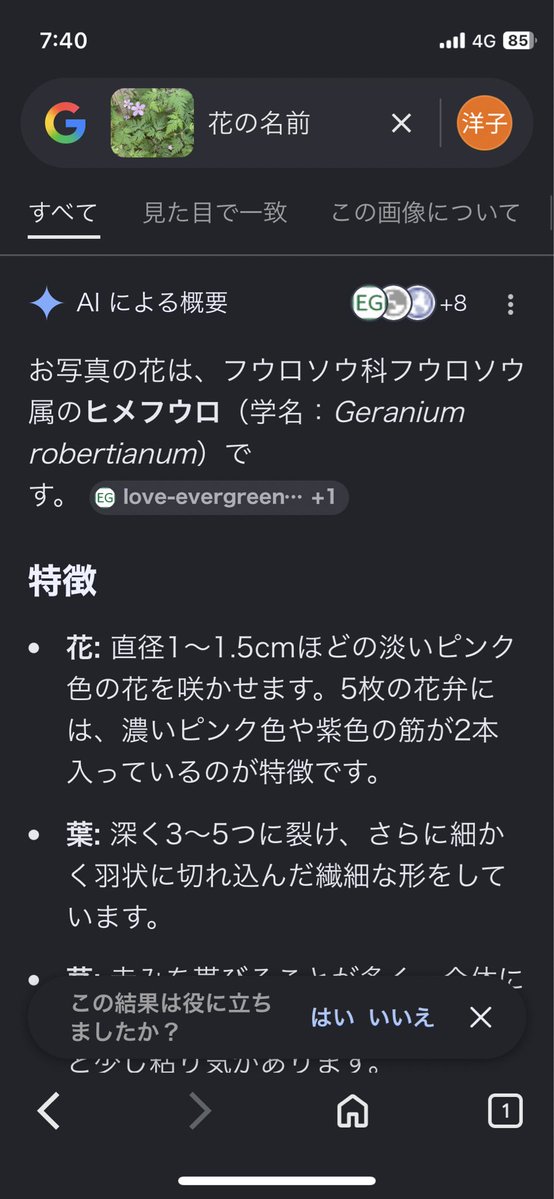 滝澤洋子 tweet media
