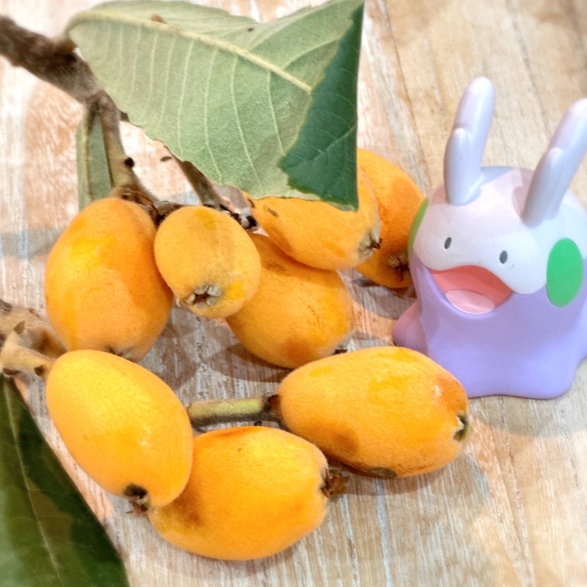 こちらは、枇杷！枝付きの姿✨