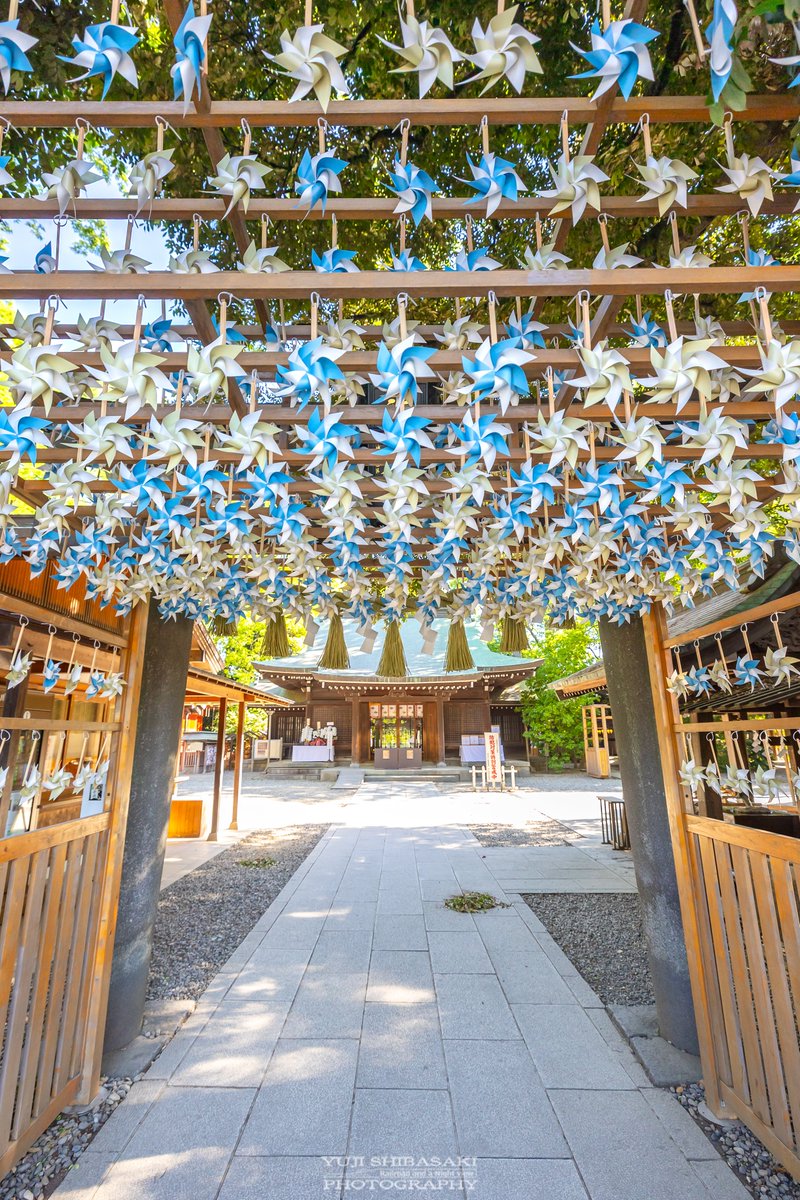 Yuji_48's tweet photo. 六月になり、川越氷川神社には縁むすび風鈴に先駆けて、風が想いを運ぶ風車が掲出されました。 https://t.co/neRHluwyCC