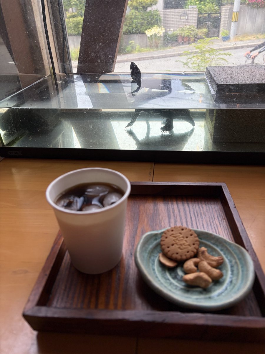 yoppalice's tweet photo. にーにーGOOD #もーにー 
VIVAナシゴレンTIME♬
「三重を見誤り」
言える言える！（*｀▽´*）
昨日の鱗雲と美味しいアイスコーヒーと今年収穫した茄子🍆 https://t.co/XuNUtYHus5