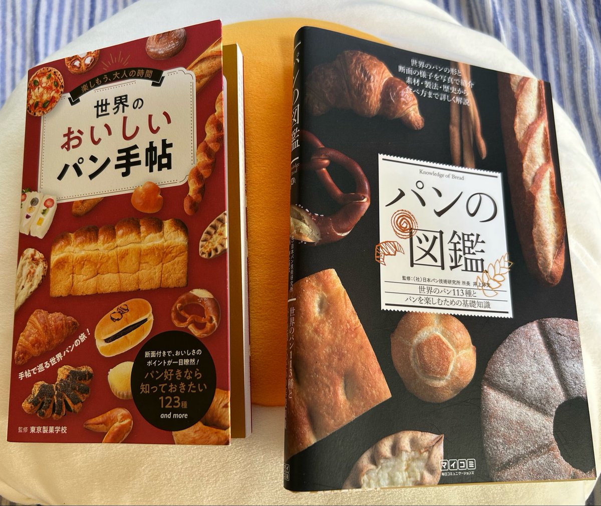 bluegrassmoon's tweet photo. パンの本を読んだ。
美味しそうなんだけど、根っからの米派なもので、主食がパンの地域の人ってお腹にちゃんとたまってんのかな、すぐお腹空いたりしないのかなといらんこと考えるのでした。 https://t.co/Vz92ZSGzc8