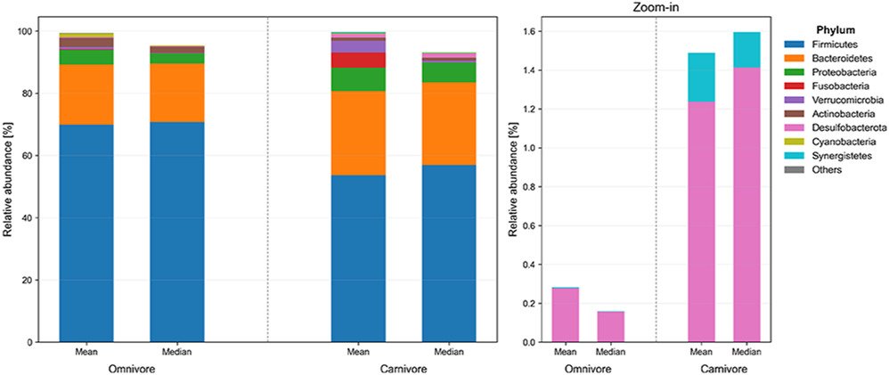 OtrPat's tweet photo. @SBakerMD Read it, interesting due to the fact microbial diversity was comparable to omnivore subjects, but n=10 only, everything was self reported. Firmicutes, SCFA producers lower in carnivores, which is definitely major disadvantage, inflammation markers are also concerning. https://t.co/I5g946jb2V