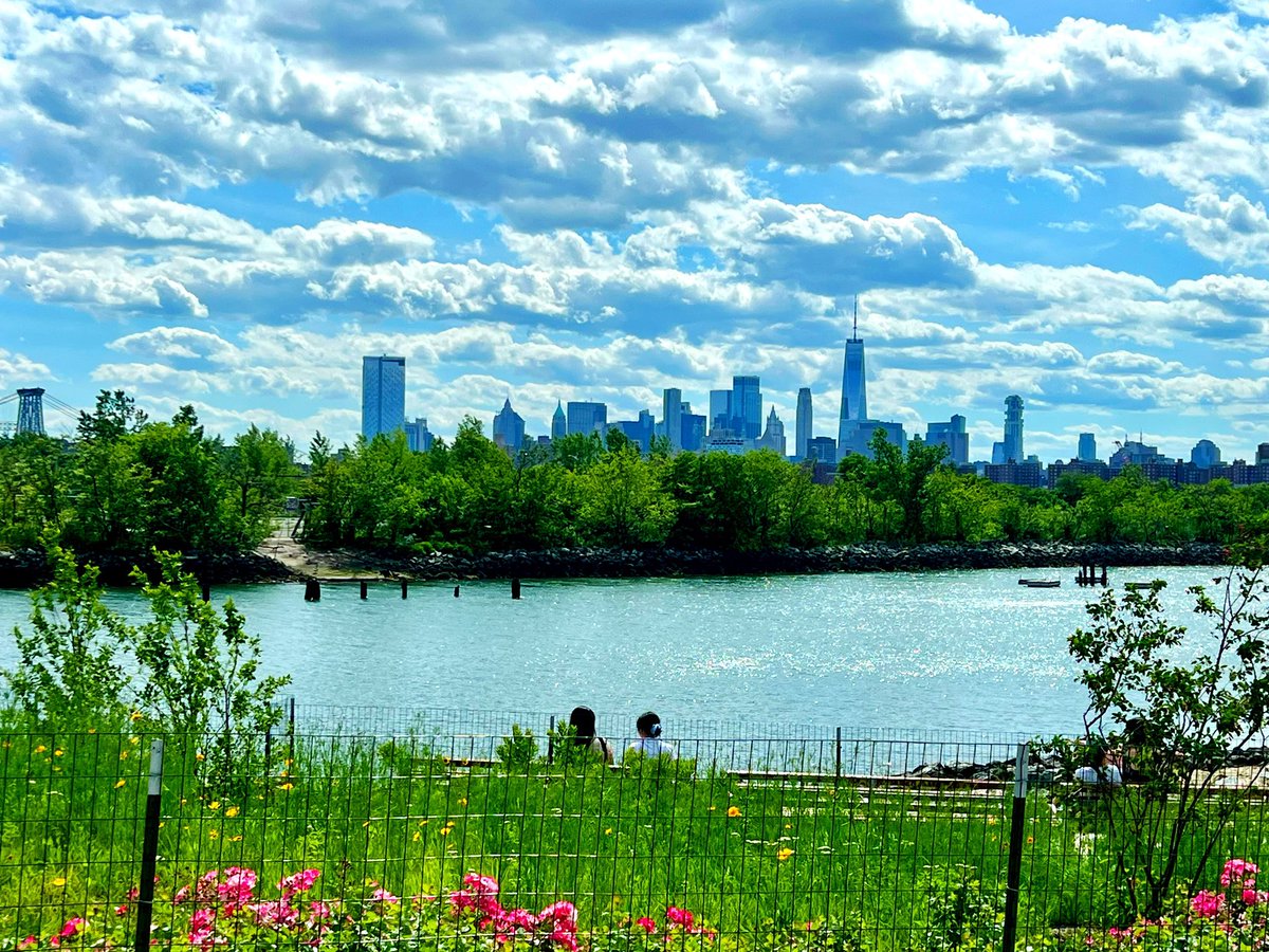EzyWriter's tweet photo. Sunday bliss…

#brooklyn #greenpoint #nyc https://t.co/sB1fe1bmTP