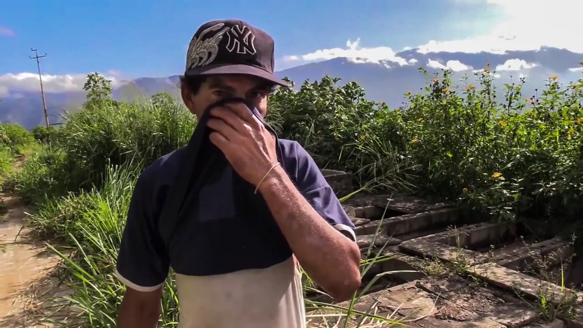 cheo070777's tweet photo. 1  de 4 )La Peste’, la colina donde esconden los muertos la narco dictadura en Venezuela
El hedor es nauseabundo a cien metros. Algunos cadáveres aún conservan pedazos de pellejo ennegrecidos. El zumbido de los insectos se confunde con el roce de las hojas sacudidas por la brisa: el único atisbo de vida en ‘La Peste’, como se conoce este vértice del Cementerio General del Sur. El abrasante sol caribeño acelera la descomposición de los cuerpos. Puede haber cien, doscientos… incontables. Algunos en bolsas de basura negras, otros descubiertos. Se amontonan en unos huecos de concreto destapados que alguna vez pretendieron ser tumbas, pero terminaron siendo la mayor fosa común de Caracas.
Una lánguida silueta arrastra sus pies por la pendiente. Johan sube algunas mañanas para custodiar la cima. Adelgazó 20 kilos en los últimos años, ya no recuerda si por la droga o por el hambre. Se tapa nariz y boca con su camiseta antes de hablar:
“Estos son los que zumban (arrojan). Traen 30 o 40 muertos en una furgoneta por la noche. Luego pasan seis o siete meses y traen otros. Así los van subiendo”.
￼
JOHAN.

LA POBREZA Y VIOLENCIA SATURAN LAS MORGUES
En una de esas bolsas se encuentra Wilfredo Hernández, de 47 años, fallecido a finales de mayo de 2017 en los calabozos del comando de la Guardia Nacional Bolivariana (GNB) de El Recreo y trasladado a esa fosa un mes y medio después. Su familia lo reclamó y destapó el caso de otros 28 cadáveres con ese mismo destino. En los hoyos también hay guantes de látex impolutos. Demasiada precaución que difícilmente toma un criminal común.
En la segunda ciudad más violenta del mundo, las morgues se saturan. A veces los parientes ni siquiera reclaman los cuerpos por temor a represalias de los victimarios, o por desconocimiento de su desaparición. A veces se demoran semanas en recogerlos mientras juntan el dinero para un entierro o aguardan turno en la larga lista para acceder a los servicios funerarios públicos. Aunque varios de esos cadáveres ni siquiera pasan por la morgue.
“Aquí los suben por la noche y se oyen disparos. Los ajustician aquí mismito. Es más fácil para no cargarlos”.
Johan señala en el suelo algunos casquillos de una nueve milímetros y cartuchos de escopeta. Algunas pandillas ejecutan a sus víctimas en lo alto de ‘La Peste’.

“Ahora ya uno se piensa dos veces para matar a alguien, porque las balas también se han puesto caras, ya no se encuentran”.
Otro centinela de la loma se ha unido a la conversación, pero prefiere ocultar su identidad. A Johan eso no le importa:
“Aquí mando yo. Ya me puedes llamar: Johan, el malandro”.
Arquea sus brazos e inclina la cabeza al presentarse. Entre la gorra del equipo de béisbol New York Yankees y su nariz ganchuda, sobresale una mirada en blanco. Unos ojos hundidos, impasibles ante la muerte. Tantos muertos.
El hombre camina funámbulo sobre los tabiques que separan los orificios. Si se cayese, nadie lo echaría en falta. Hace tiempo que abandonó su hogar abocado al vicio y al crimen. Tampoco se distinguiría entre los occisos más recientes. Dice tener unos cuarenta y tantos años. Perdió la cuenta. Por su semblante ajado, parece que roza los sesenta.