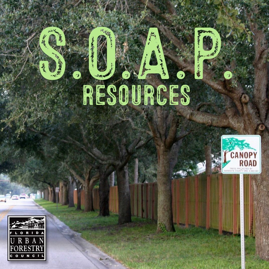 fufc_org's tweet photo. One of the goals of the FUFC is to help FL communities reach "managing status" with SOAP - professional STAFF, an enforced tree ORDINANCE, active citizen ADVOCACY, and an urban forestry PLAN.

Find the tools you need at https://t.co/GEXavLyvfj

Reach out if you need assistance! https://t.co/oRl9AutPv9