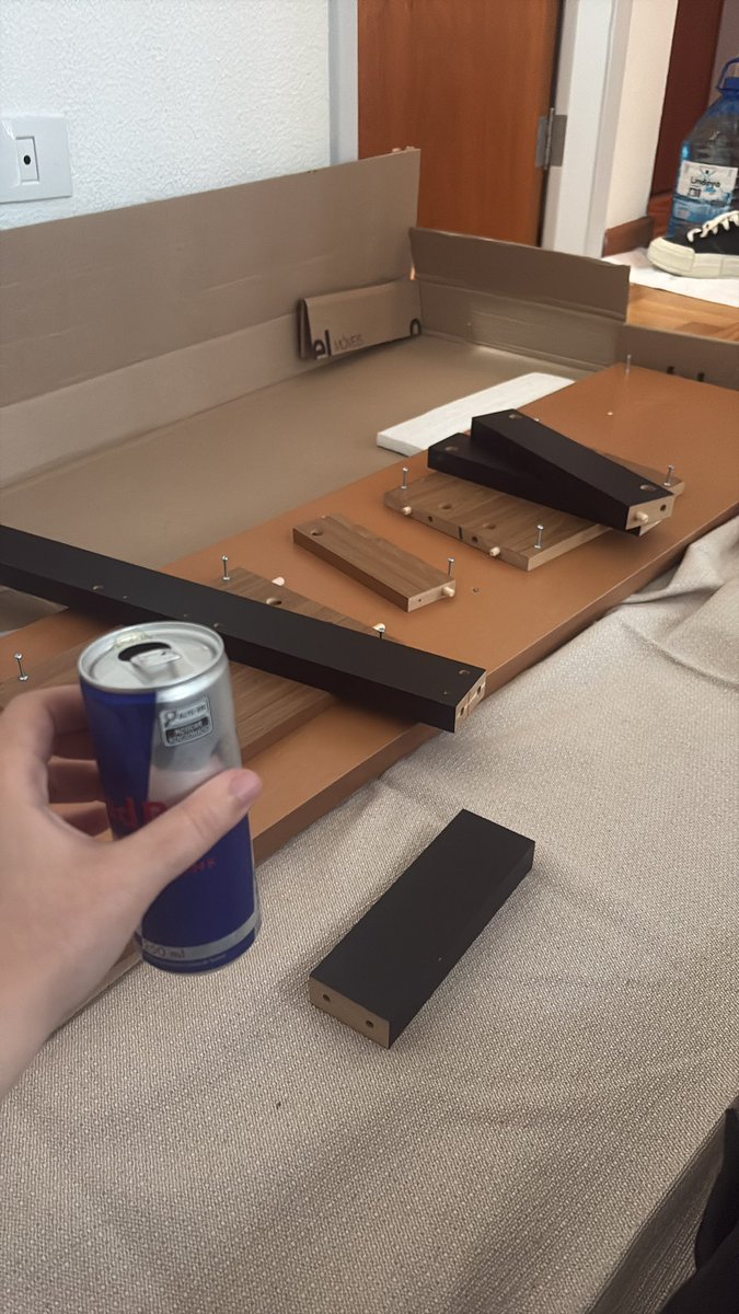 imalrose's tweet photo. meu dia mais lésbico (com ajuda do meu hermano como assistente e me comprando um redbull ) https://t.co/4PPHAQbEas
