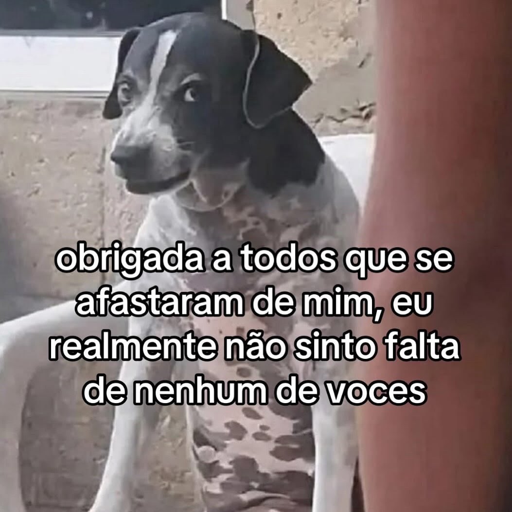 paginalixo1's tweet photo. https://t.co/Aujt6L9s9s