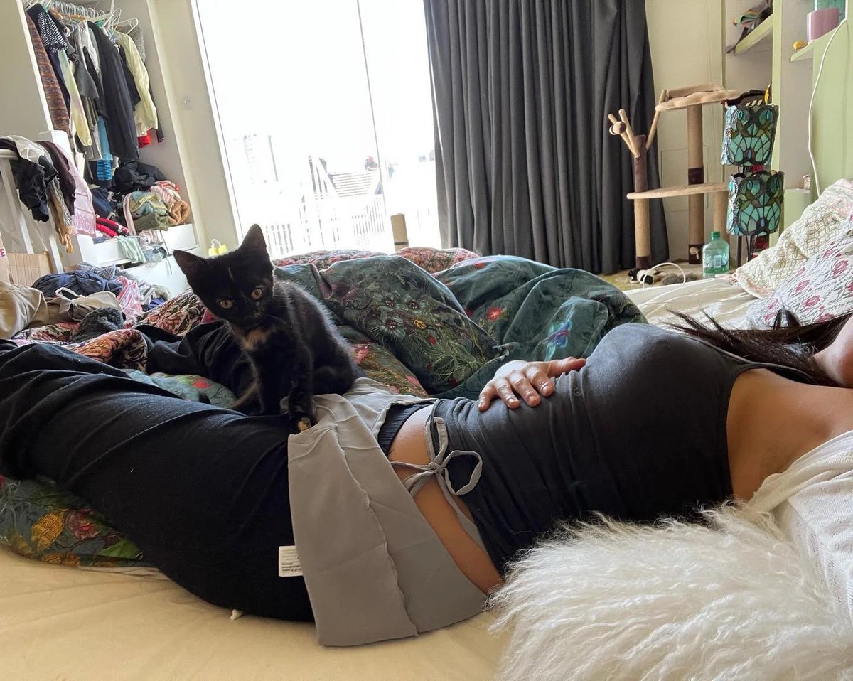 myshowson's tweet photo. literally a mountain range (feat. miso) MEOW https://t.co/HXTzlbsV2h
