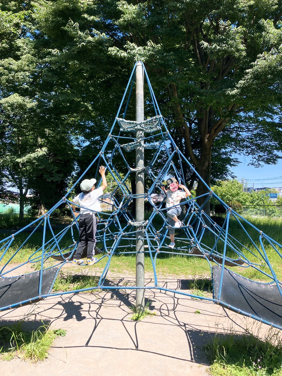papa_five5's tweet photo. 月曜おはファイ！
とりあえず今週も頑張ってみますかね。 https://t.co/2fnfE4t1Vf