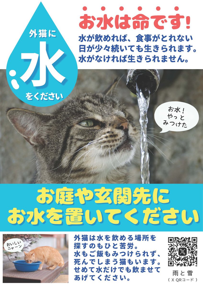 63NiY6yY7YDHiYk's tweet photo. お外の猫たちに、どうか心を寄せてください🙏
環境の変化により、この酷暑の中を必死に生きている猫達がいます。

「画像を使ってもいいですか？」というお問い合わせをいただきますが、猫たちのためでしたら大歓迎😽
印刷もSNSでのシェアもご自由に♪
知ってもらうことが、猫たちの未来に繋がります✨ https://t.co/a1FhJ8htwJ