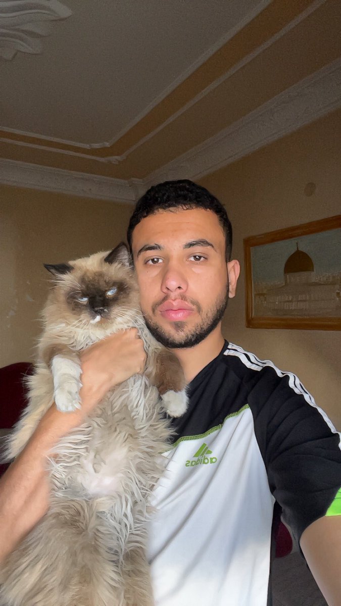 Mo7mmd30's tweet photo. This is my cat Leo. He died from hunger in Gaza.

After he passed away, it felt as if he sent these cats to me so I could care for them.

After my cat Leo died from hunger and famine in Gaza, I feel as if he sent me other cats to care for.

Today, I look after more than three cats. I provide them with food and water, and care for them every day.

I couldn’t save Leo, but I am doing everything I can to prevent these cats from suffering the same fate.

Every time I feed them, I remember Leo.

And every time I look at them, I feel as if Leo left me a small promise to keep:
to take care of them and never let them face hunger alone.

Please help me feed them by making a donation. 

https://t.co/u5tkAbVcUM