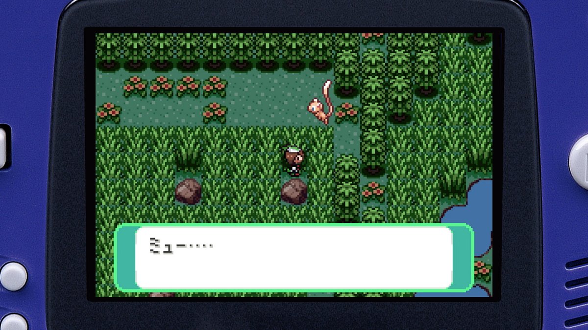 【公式】ポケモン情報局 tweet media