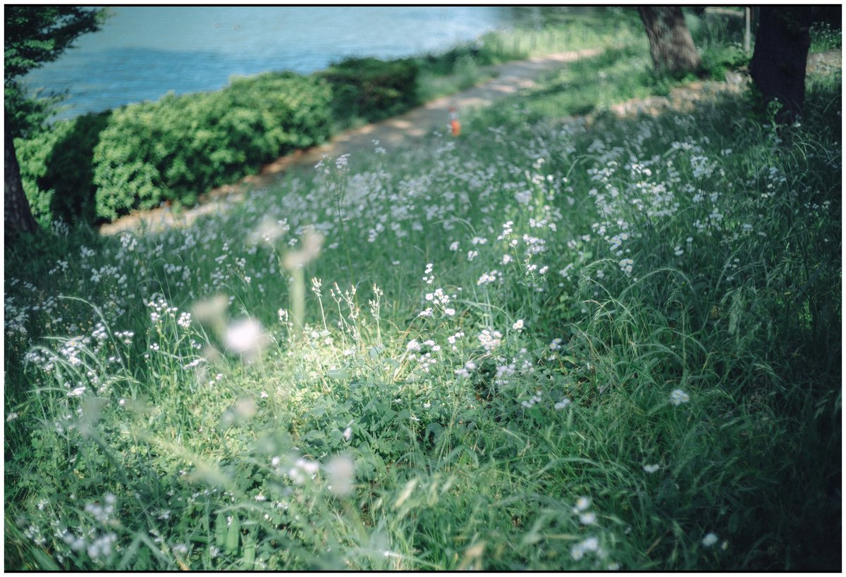 keith___inoue's tweet photo. ５月の写真。 https://t.co/aXbpUNgO40