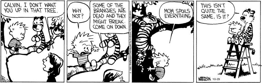 Calvinn_Hobbes's tweet photo. Mom spoils everything.
#CalvinandHobbes #ParentLife https://t.co/gf4zr0AkFd