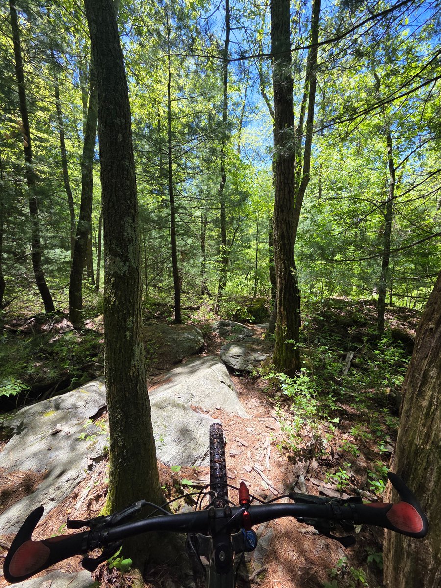 EnsoNode's tweet photo. Been awhile since I posted a #ScanSaturday 🗓 but it is the season! Today's trail ride 🚵‍♀️ with the #ScanforPoints on the app 📱 from @WorldMobileTeam was in Michaux State Forest 🌳. I heard stories about how difficult this area of the Appalachian Mountains ⛰️ are. I also tried a short trail here previously that was fun but treacherous which further cemented the monster I made the big trail out to be. While I am advanced in my riding techniques, it turns out my skill level has dramatically increased 📈 since the last time I was here. I can maneuver these large rock gardens 🪨, that are not for the the faint of heart, with ease. Took a pic of a small garden but the big gardens were to complicated to stop for a photo. Feeling accomplished 💪!!
Hope to see more #ScanSaturday adventures posted! Let's explore the world and find the gaps in coverage!

$WMTx #Cardano $Base $Eth $BNB $Sol