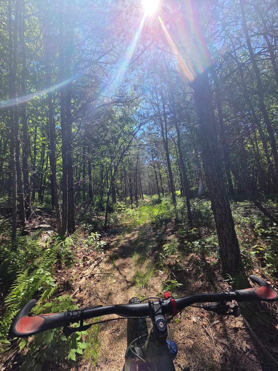 EnsoNode's tweet photo. Been awhile since I posted a #ScanSaturday 🗓 but it is the season! Today's trail ride 🚵‍♀️ with the #ScanforPoints on the app 📱 from @WorldMobileTeam was in Michaux State Forest 🌳. I heard stories about how difficult this area of the Appalachian Mountains ⛰️ are. I also tried a short trail here previously that was fun but treacherous which further cemented the monster I made the big trail out to be. While I am advanced in my riding techniques, it turns out my skill level has dramatically increased 📈 since the last time I was here. I can maneuver these large rock gardens 🪨, that are not for the the faint of heart, with ease. Took a pic of a small garden but the big gardens were to complicated to stop for a photo. Feeling accomplished 💪!!
Hope to see more #ScanSaturday adventures posted! Let's explore the world and find the gaps in coverage!

$WMTx #Cardano $Base $Eth $BNB $Sol