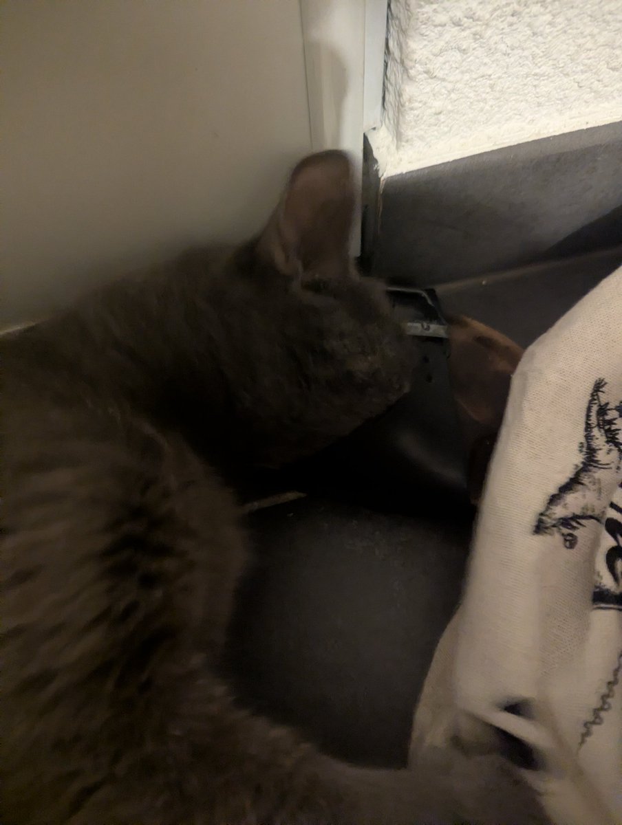 maitresse_feetL's tweet photo. mes pieds rendent fou même mon chat 🫠 https://t.co/FYrOUXcT9u