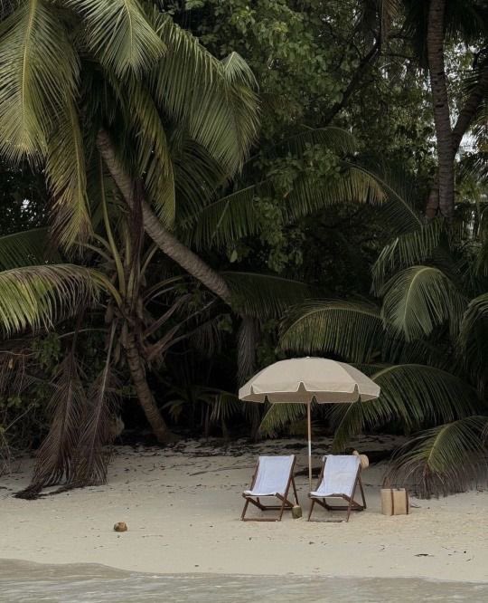 naturehealyou's tweet photo. summer core https://t.co/Lbq5aIVsQ9
