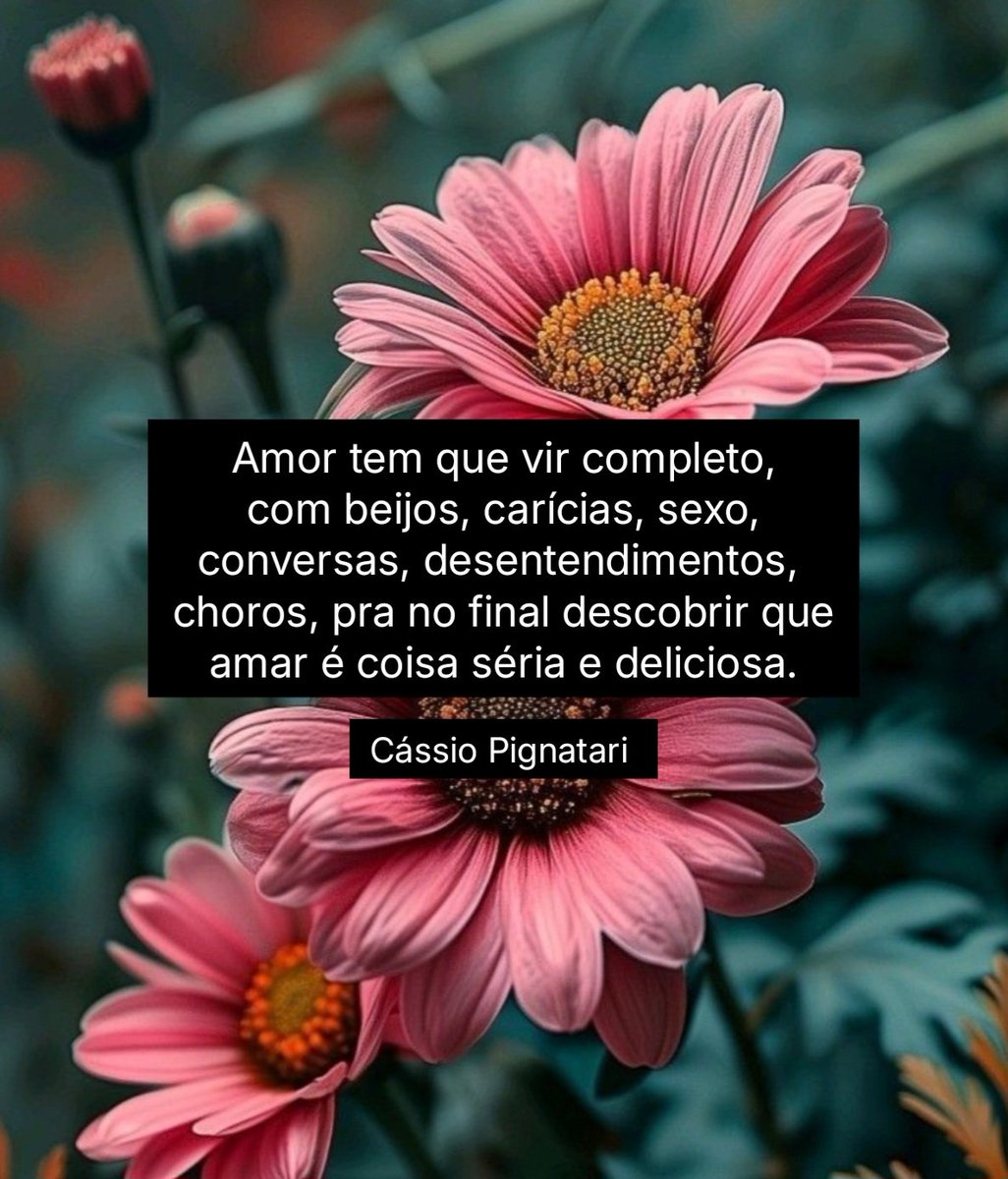 CassioPignatari's tweet photo. Aflorismos. https://t.co/aLL72m4zXN