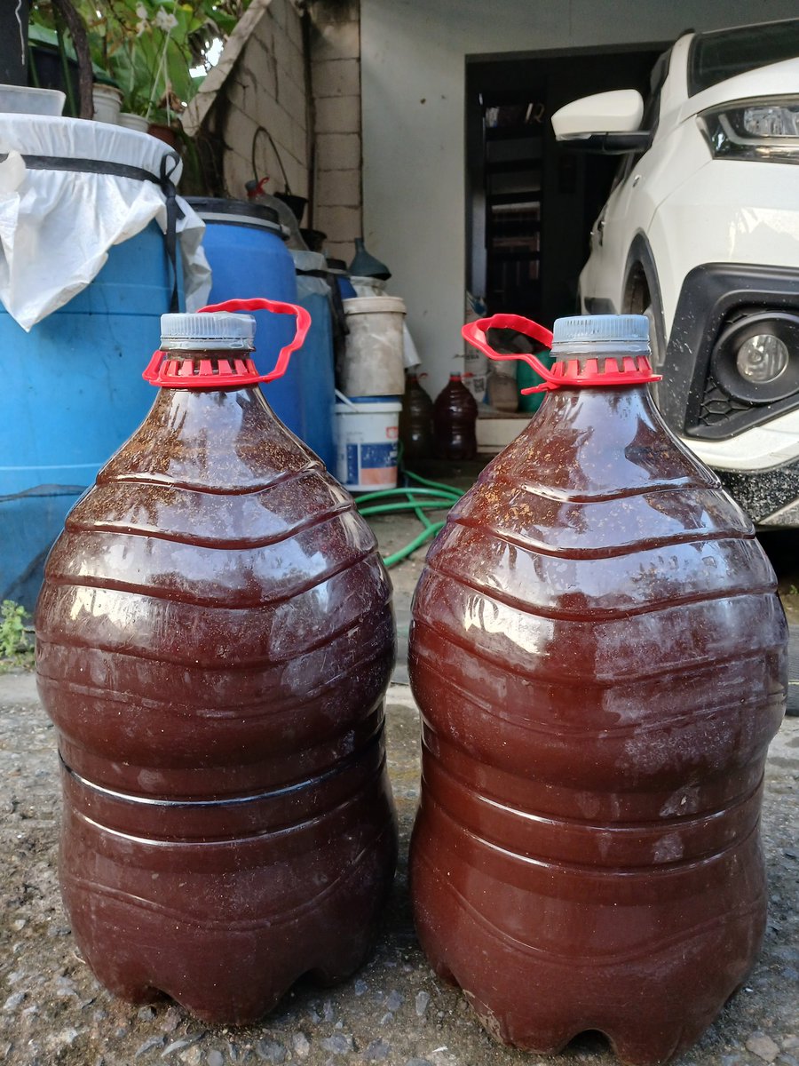 khamim_neutron's tweet photo. Lapisan khamir dan Actinomycetes-nya mantab. Langsung ambil - wadahi - lajulah ke sawah. Enaknya kalau punya pabrik sendiri. 
Masak beginian beli, mehong tau 😁😁 https://t.co/4JH5uBeFCN