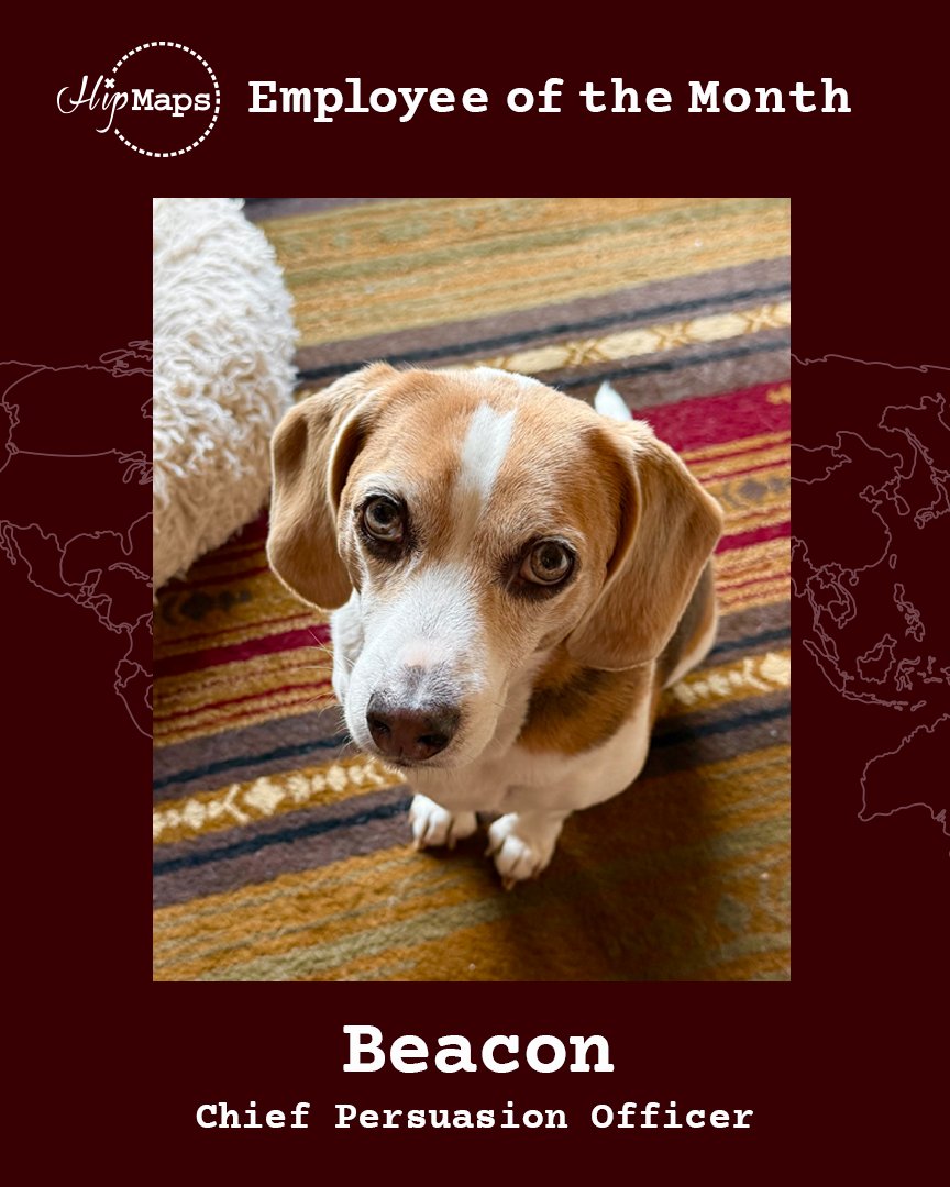 HipmapsA's tweet photo. Congratulations to Beacon, our Chief Persuasion Officer, on being awarded the June 2026 Employee of the Month! Beacon has mastered the art of persuasion through his legendary soulful gaze, capable of melting even the most steadfast resolve with a single glance. #DogEmployee https://t.co/soC5iH6G2z