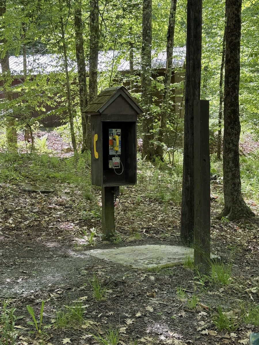 TarrySup's tweet photo. Camping with my son this weekend and stumbled upon something he had only seen in pictures—a payphone in the middle of the woods!  Ended up giving him a quick tutorial on how people used to make calls. Sometimes the best lessons happen when you least expect them. #throwback https://t.co/9CxVQBlD7z