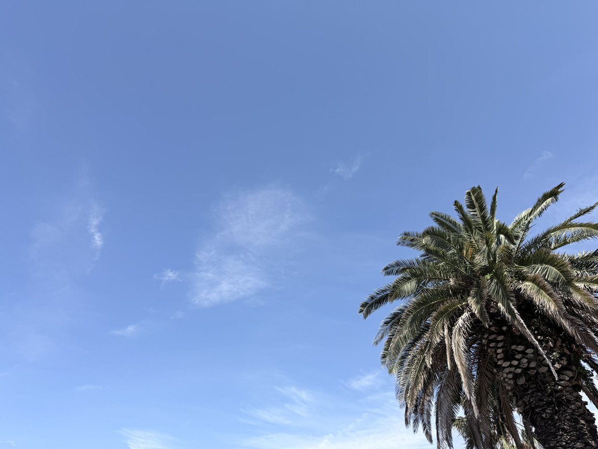 sato_thinking's tweet photo. 挑戦の先にしかない景色がある。

新しいことに挑戦すると、不安もあるけれど、その一歩を踏み出した人にしか得られない学びや経験がある。やってみなければ見えない世界が、きっとその先に待っている。

おはようございます。
今週も挑戦を楽しんでいきましょう！ https://t.co/YU4VQ0dG2F