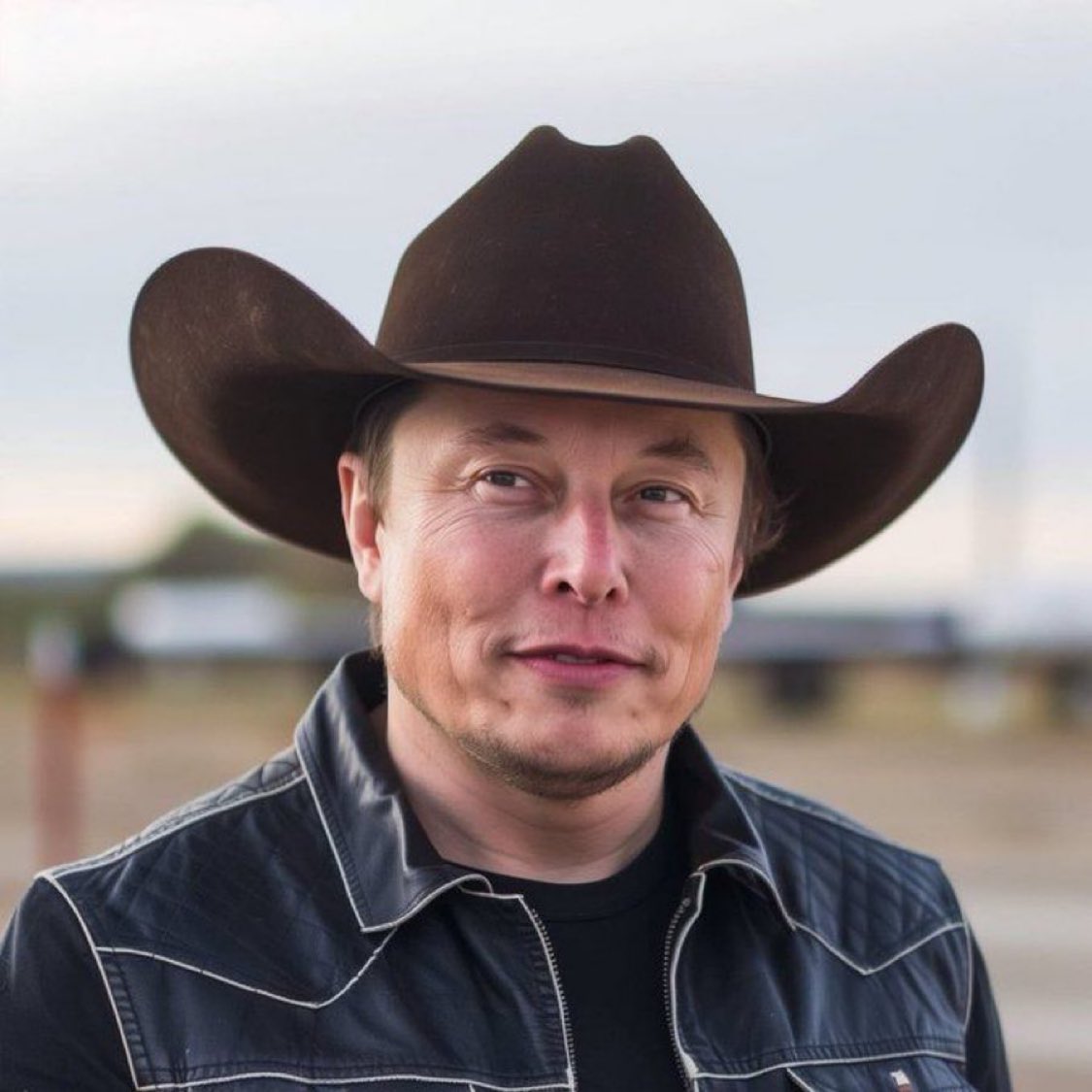Elon Musk tweet media