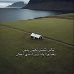 Photo by شعور (@8oIIr)