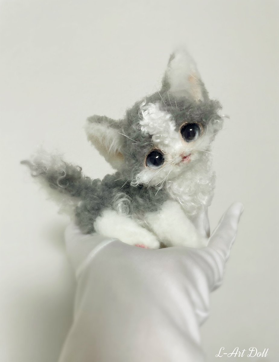 くるくる巻き毛♡デボンレックス子猫♡メリーちゃん♡アートドール♡ぬいぐるみ♡ デボンレックスの子🩶 飼い主様募集中です🐾✨ #アートドール #猫