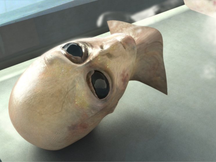 DinoModels1's tweet photo. @Arnfden0 @Quietpuppy7 @izaqueoeav The alien is a photoshopped woman's corpse and the alien is 3D modeled https://t.co/a2QLR0t76z