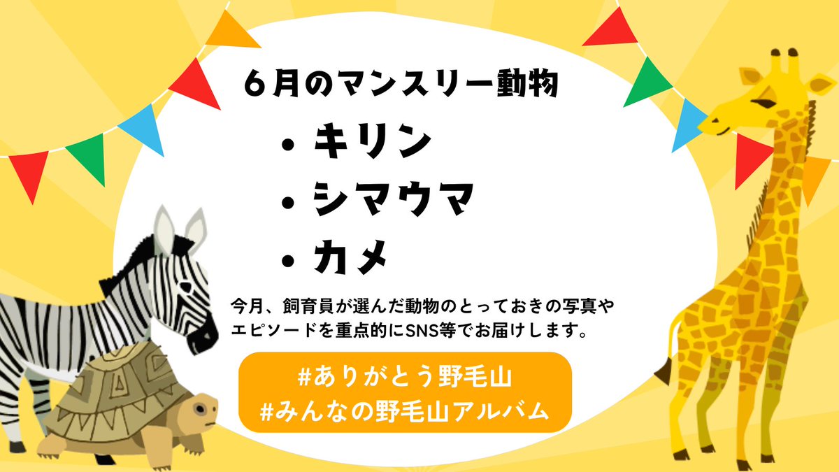 nogeyamazoo401's tweet photo. #野毛山動物園 のリニューアルに向け、飼育員の思い出や一押し写真を毎月ピックアップしてお届けします📷
6月の野毛山マンスリー動物は、 #キリン 、#シマウマ 、#カメ たちです！
皆さんもぜひハッシュタグ #ありがとう野毛山 #みんなの野毛山アルバム を付けて思い出話や写真を投稿してください✨ https://t.co/gKhT4cN7mA