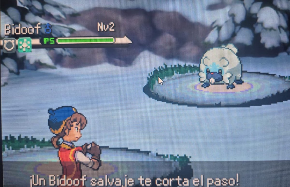 SnowkyMoon's tweet photo. Mdsss, que fofo, um Bidoof do tipo gelo https://t.co/If5oBczwcA