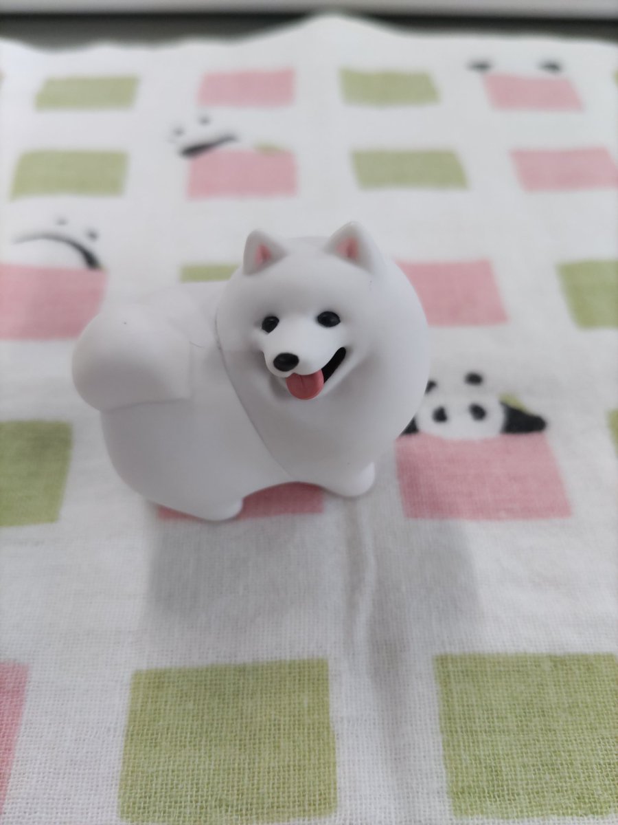095phht0907's tweet photo. やっと見つけました🐕
一発目で大本命でましたー❤ https://t.co/3hii4kKgEq
