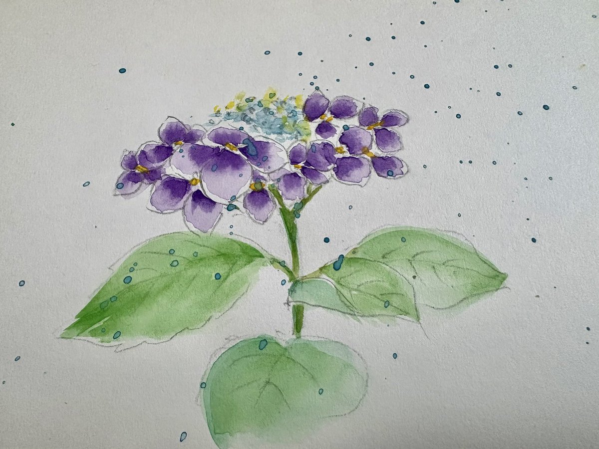 aLittle_Free's tweet photo. 新しい月 ｢6月｣となりました
夏前のジメジメとした梅雨も紫陽花などを住宅地で見るだけでも気分変わりますね

先日スペースでやった『12星座リーディング』のてんびん座が何やらスッキリしないので個人的にやってみようかな❓と思いました😅
今月もどうぞよろしくお願いします～(ㅅ´꒳` ) https://t.co/yiNWr4iNpi