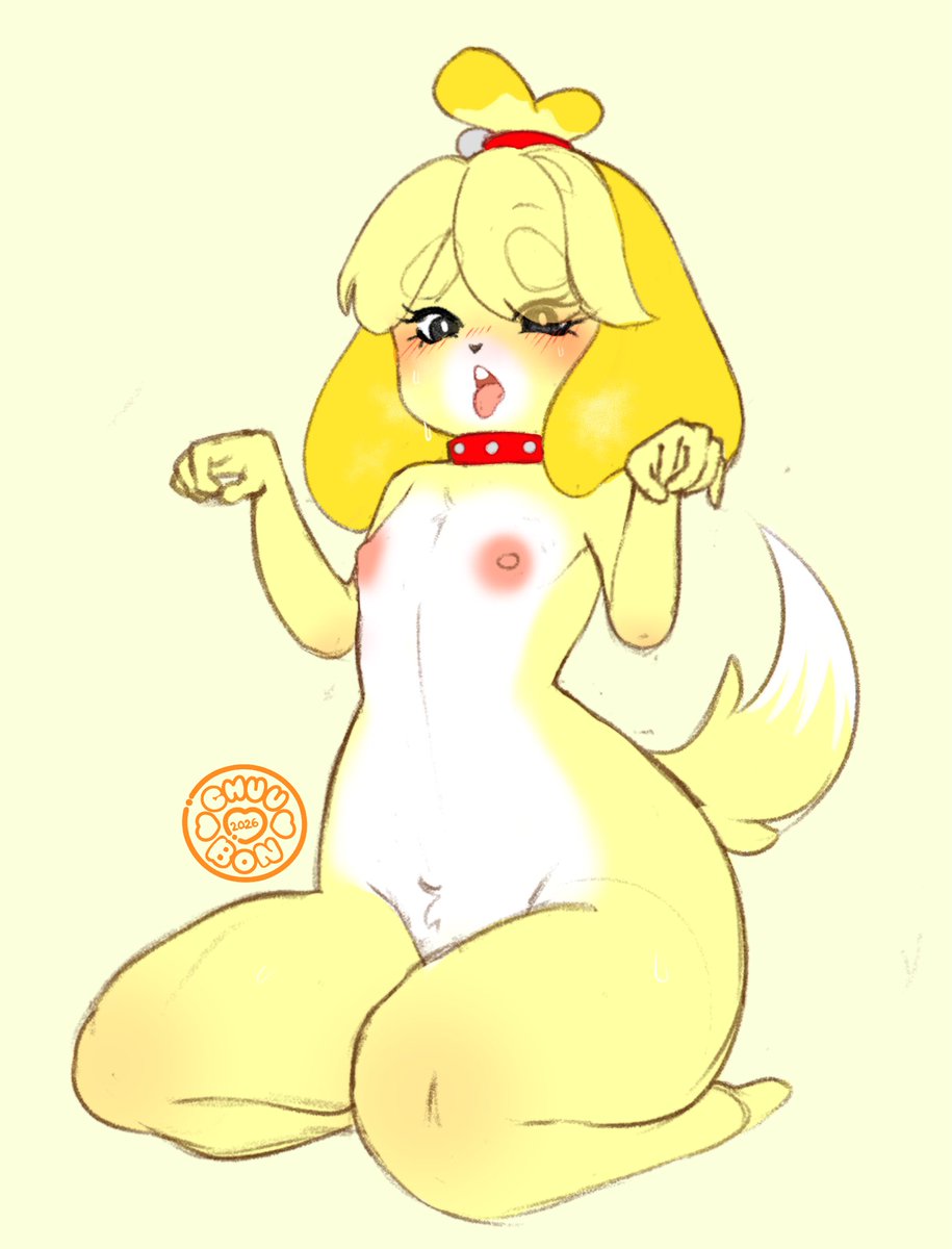 _chuubon_'s tweet photo. Another good doggy (she actually inspired me to make Latte!) https://t.co/fwWK6a3Yt4